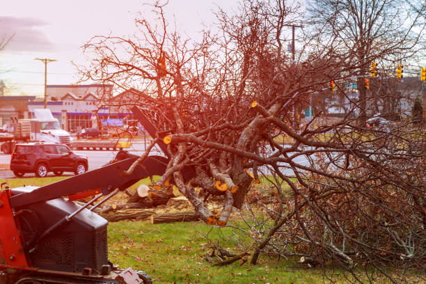 Seasonal Cleanup (Spring/Fall) in Chalfont, PA